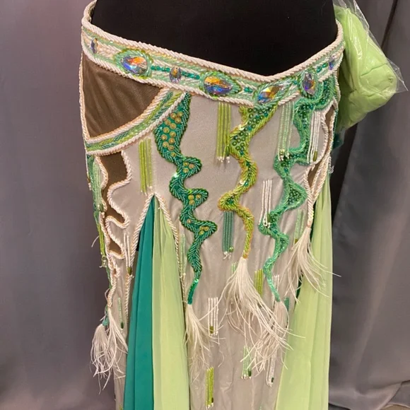 Professional Bellydance Costume - Picture 4 of 4